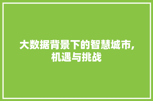 大数据背景下的智慧城市,机遇与挑战 seo技术