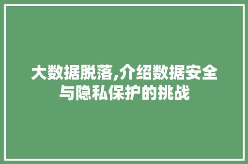 大数据脱落,介绍数据安全与隐私保护的挑战 360搜优化
