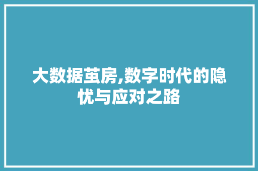大数据茧房,数字时代的隐忧与应对之路 360搜优化