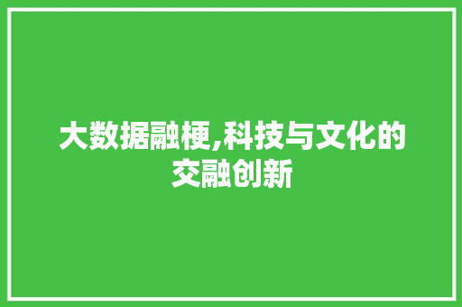 大数据融梗,科技与文化的交融创新 搜狗优化