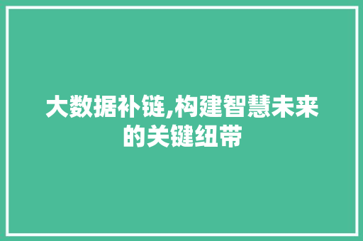 大数据补链,构建智慧未来的关键纽带 360搜优化