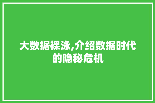 大数据裸泳,介绍数据时代的隐秘危机 小程序开发