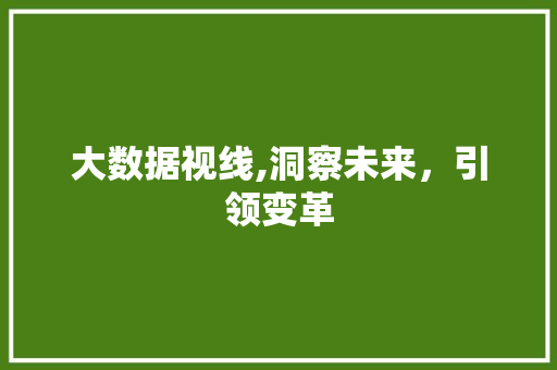 大数据视线,洞察未来，引领变革 seo技术