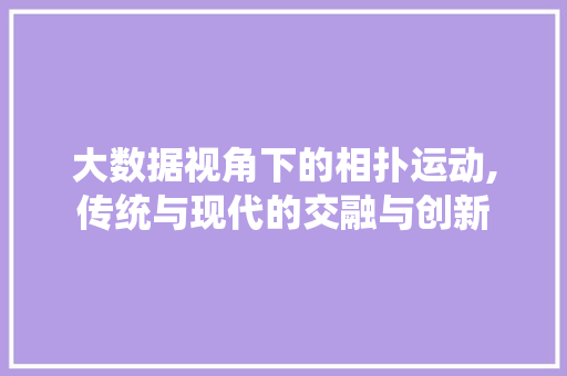 大数据视角下的相扑运动,传统与现代的交融与创新 小程序开发