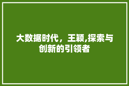 大数据时代，王颖,探索与创新的引领者