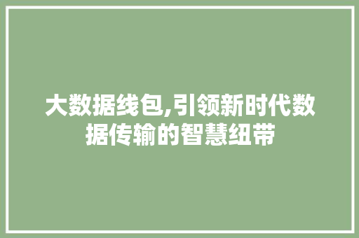 大数据线包,引领新时代数据传输的智慧纽带 网站开发