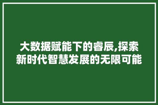 大数据赋能下的睿辰,探索新时代智慧发展的无限可能