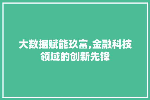 大数据赋能玖富,金融科技领域的创新先锋