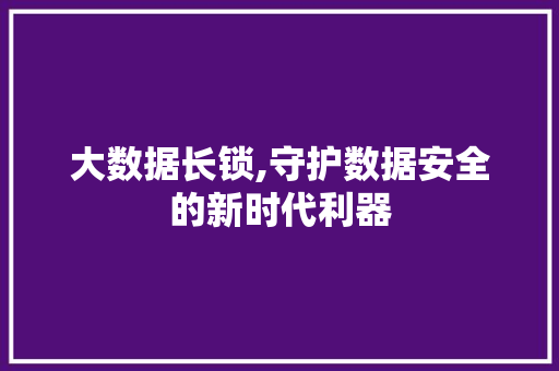 大数据长锁,守护数据安全的新时代利器