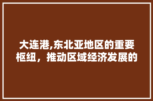 大连港,东北亚地区的重要枢纽，推动区域经济发展的引擎 seo技术