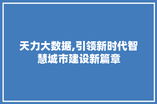 天力大数据,引领新时代智慧城市建设新篇章