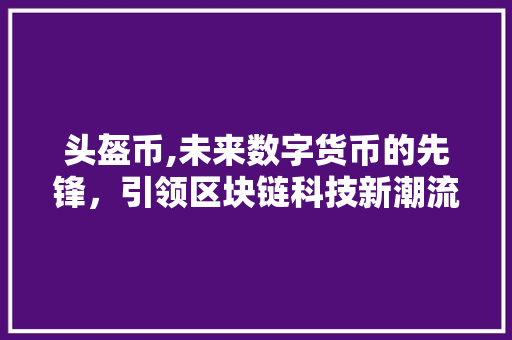 头盔币,未来数字货币的先锋，引领区块链科技新潮流