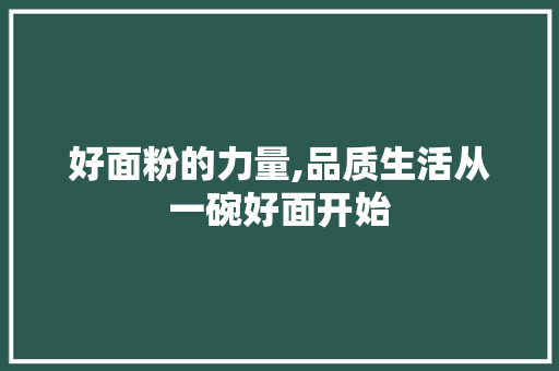 好面粉的力量,品质生活从一碗好面开始