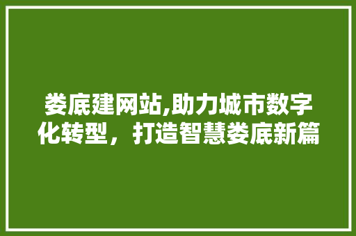 娄底建网站,助力城市数字化转型，打造智慧娄底新篇章