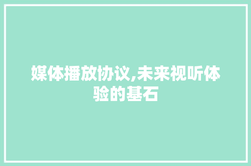 媒体播放协议,未来视听体验的基石 360搜优化