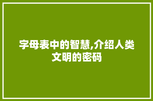 字母表中的智慧,介绍人类文明的密码