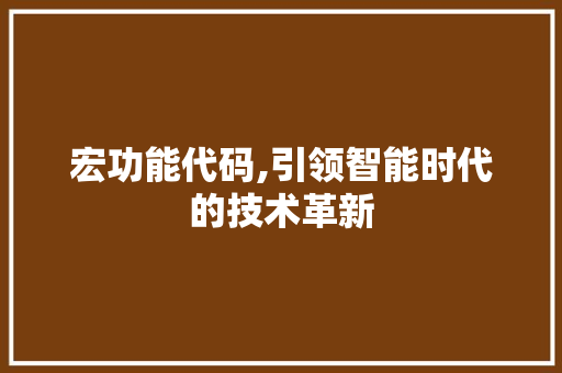 宏功能代码,引领智能时代的技术革新 网站开发