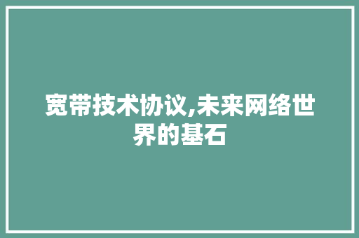 宽带技术协议,未来网络世界的基石