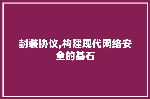 封装协议,构建现代网络安全的基石 网站优化