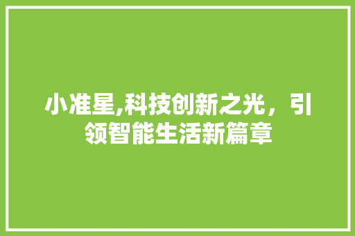 小准星,科技创新之光，引领智能生活新篇章
