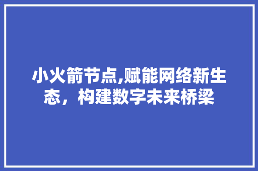 小火箭节点,赋能网络新生态，构建数字未来桥梁