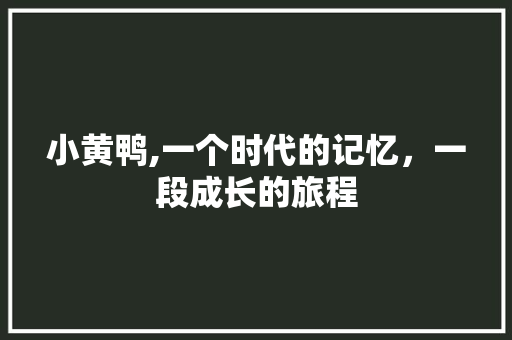 小黄鸭,一个时代的记忆，一段成长的旅程