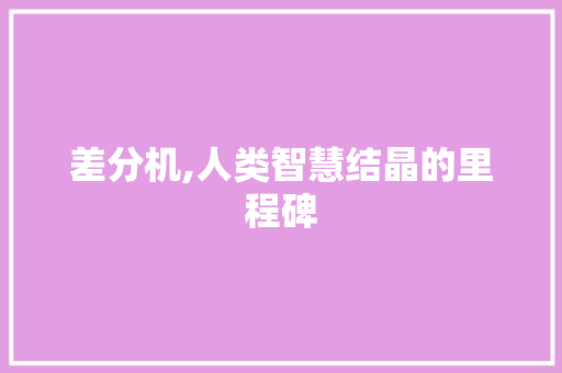 差分机,人类智慧结晶的里程碑 网站优化