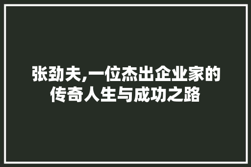 张劲夫,一位杰出企业家的传奇人生与成功之路