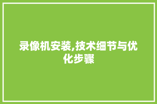 录像机安装,技术细节与优化步骤