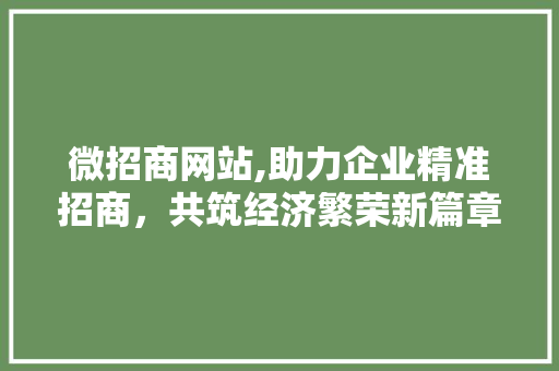 微招商网站,助力企业精准招商，共筑经济繁荣新篇章