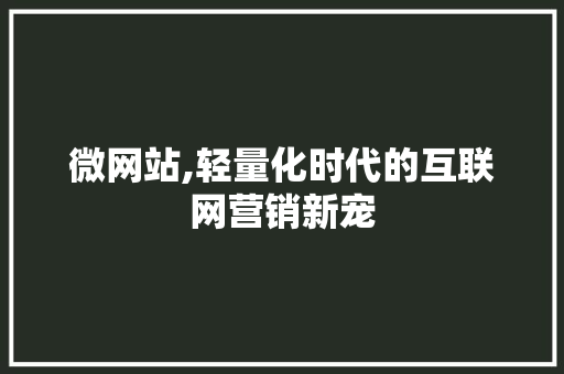 微网站,轻量化时代的互联网营销新宠
