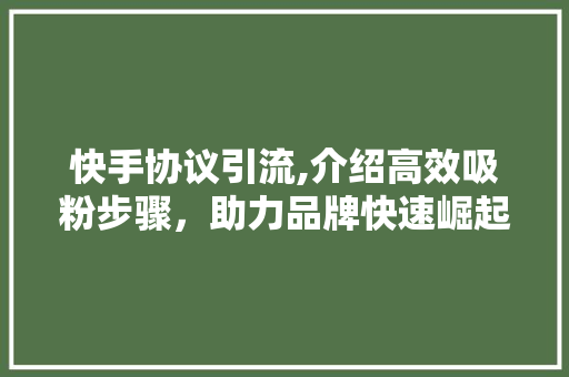 快手协议引流,介绍高效吸粉步骤，助力品牌快速崛起