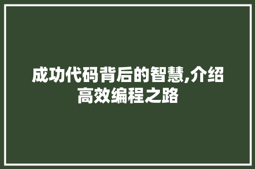 成功代码背后的智慧,介绍高效编程之路