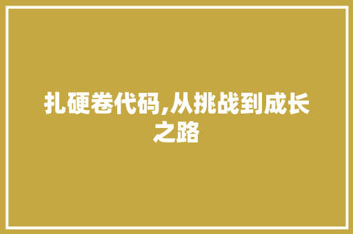 扎硬卷代码,从挑战到成长之路 头条优化