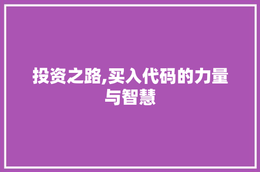 投资之路,买入代码的力量与智慧
