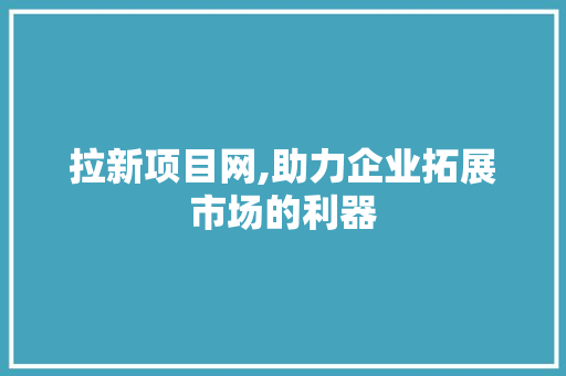 拉新项目网,助力企业拓展市场的利器 小程序开发