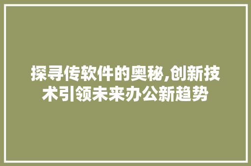 探寻传软件的奥秘,创新技术引领未来办公新趋势 seo技术