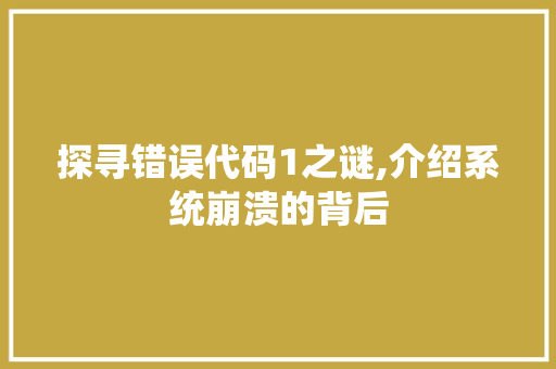 探寻错误代码1之谜,介绍系统崩溃的背后