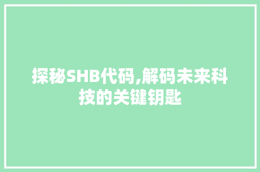 探秘SHB代码,解码未来科技的关键钥匙 网站开发