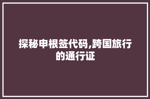 探秘申根签代码,跨国旅行的通行证