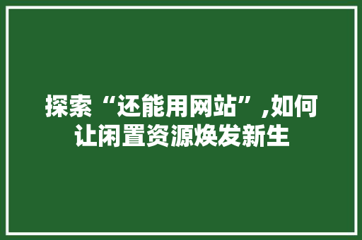 探索“还能用网站”,如何让闲置资源焕发新生