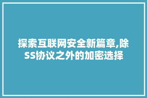 探索互联网安全新篇章,除SS协议之外的加密选择 网站优化