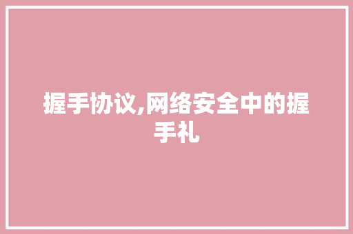握手协议,网络安全中的握手礼