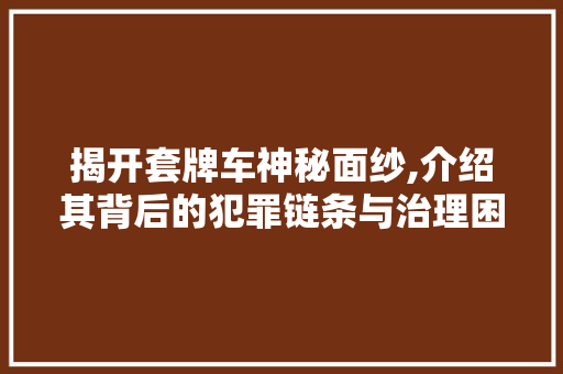 揭开套牌车神秘面纱,介绍其背后的犯罪链条与治理困境 头条优化