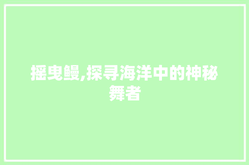 摇曳鳗,探寻海洋中的神秘舞者 小程序开发