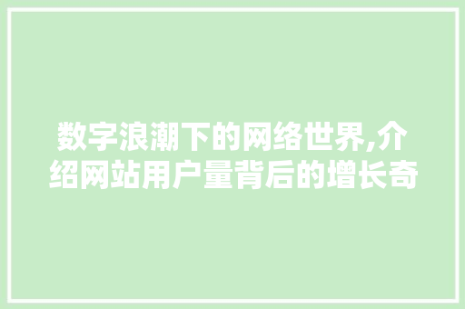 数字浪潮下的网络世界,介绍网站用户量背后的增长奇迹