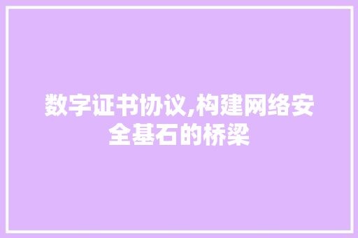 数字证书协议,构建网络安全基石的桥梁 seo技术