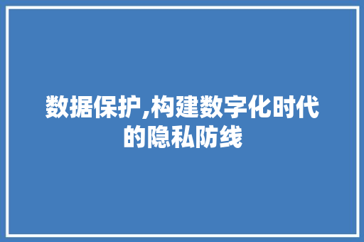 数据保护,构建数字化时代的隐私防线 英文谷歌算法