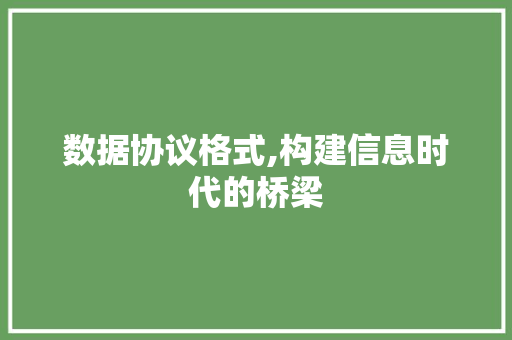 数据协议格式,构建信息时代的桥梁 网站开发