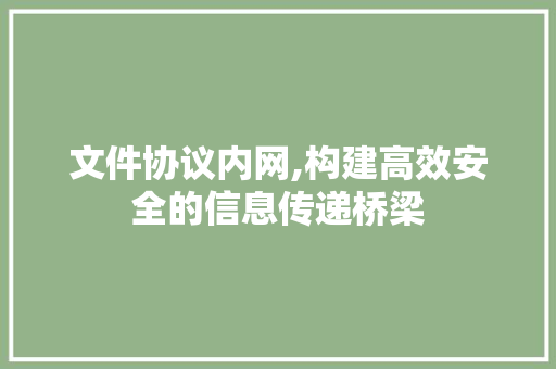 文件协议内网,构建高效安全的信息传递桥梁